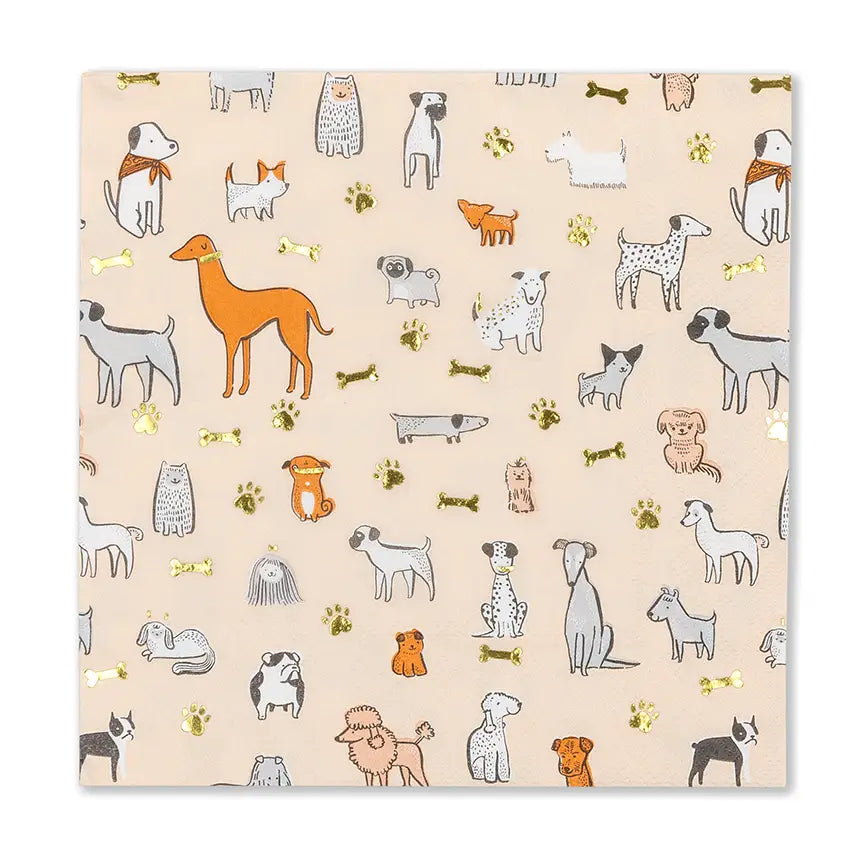 Jollity & Co Dinnerware