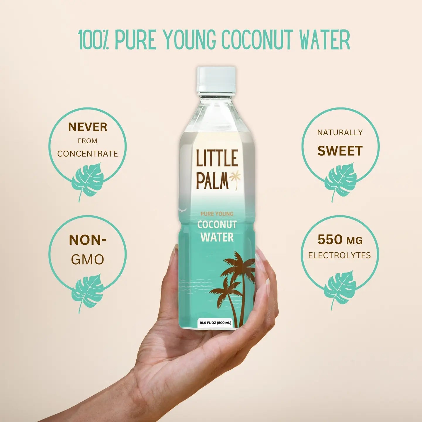 Little Palm Coconut Water