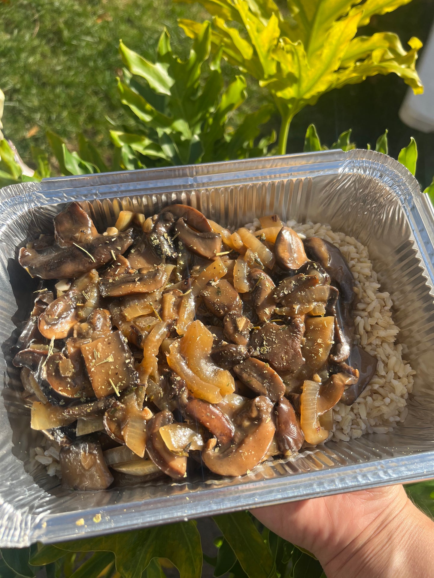 Vegan mushroom stroganoff