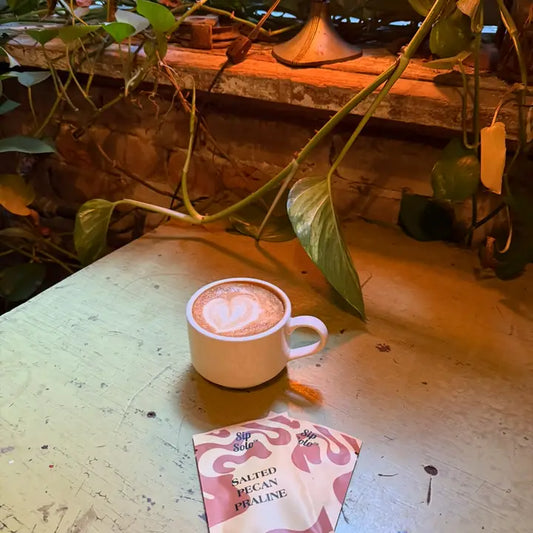 Sip Solo - Salted Pecan Praline - Single Serve Syrup